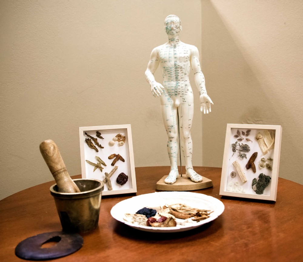 examples of herbs and figurine of a human demonstrating concept of acupuncture