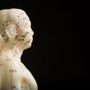 Introduction to the Shanghan Lun: Liu Jing Theory