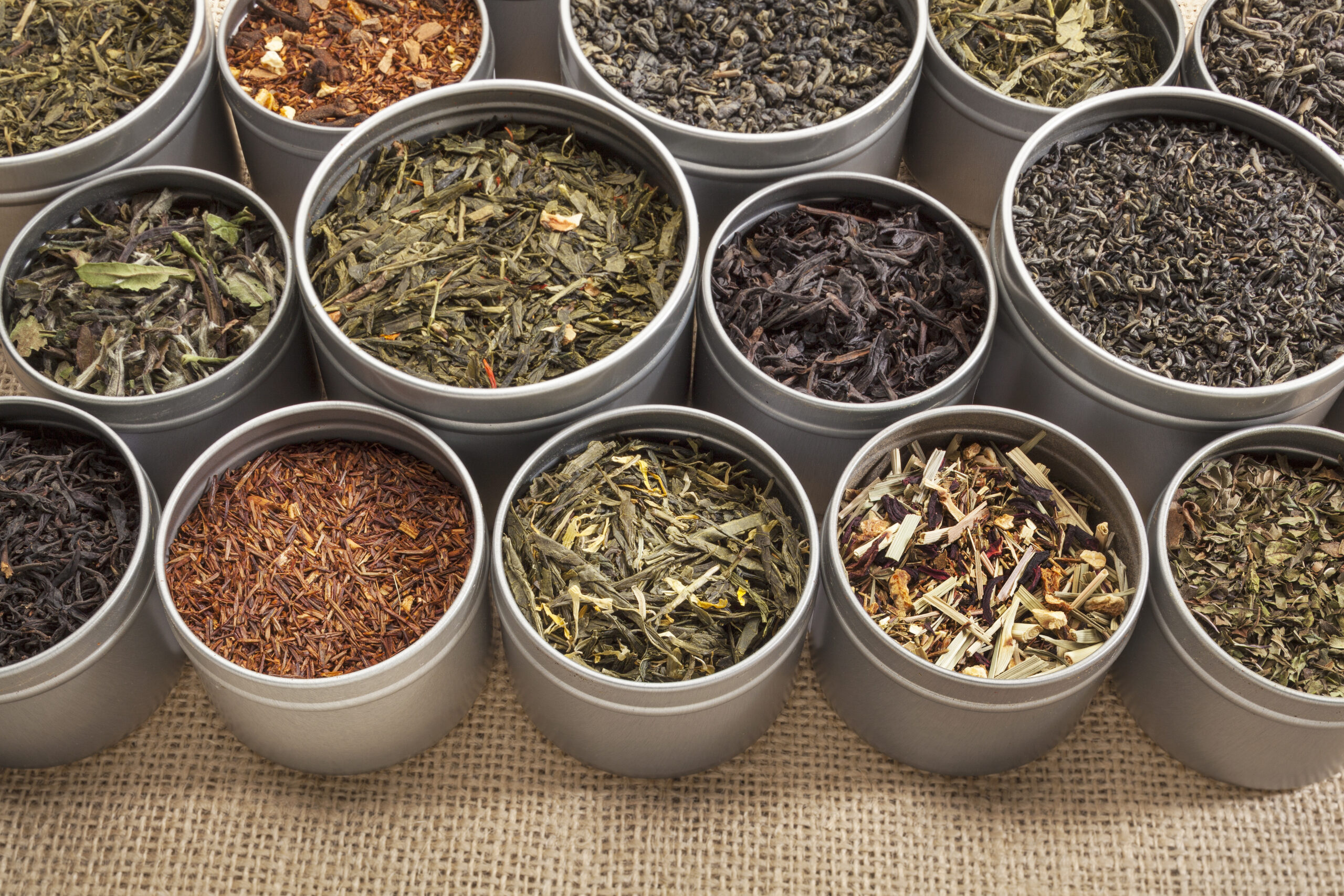 samples of loose leaf green, white, black red, and herbal tea in metal cans on canvas background