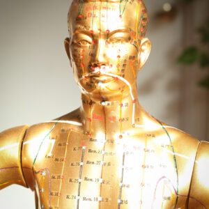 Shen-Hammer Pulse Diagnosis II